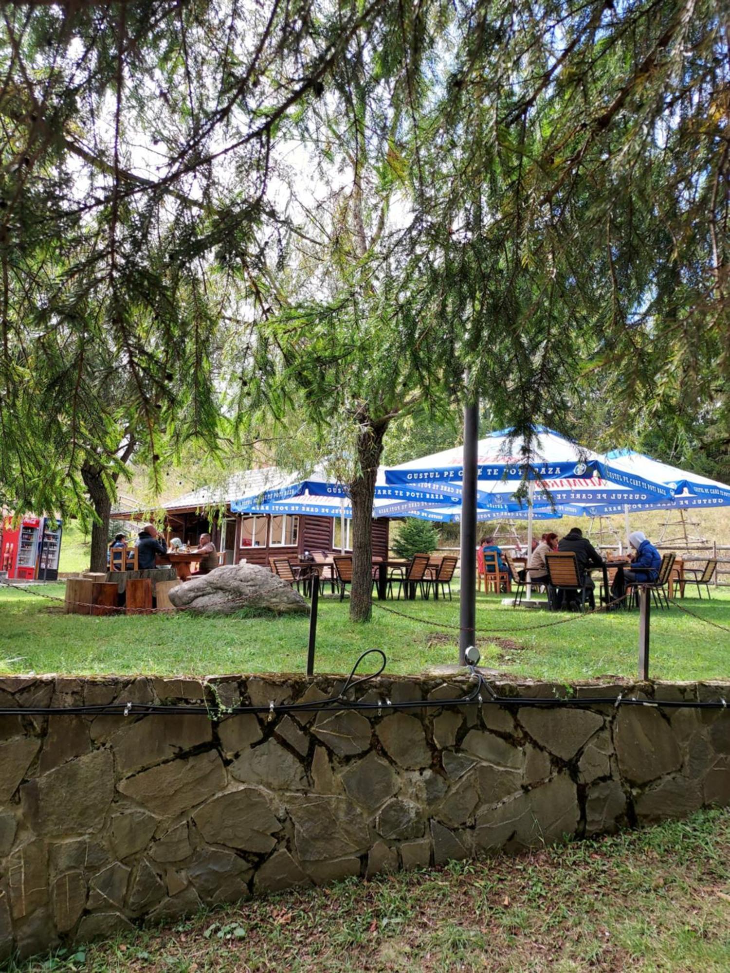 Pensiunea La Taverna Trăisteni Екстериор снимка